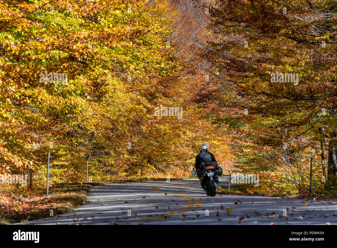 Motorcyclist on rural autumn road, White Mountains National Forest, New Hampshire, USA. Stock Photo