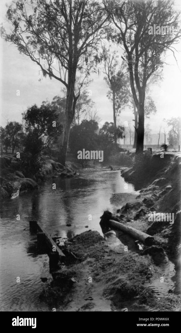 250 StateLibQld 1 205264 Misty morning at Kilcoy Creek, 1928 Stock Photo