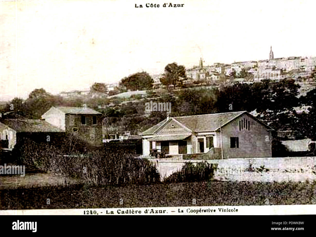 193 La Cadière-d'Azur Cave Coopérative Vinicole de La Cadiérenne Stock  Photo - Alamy