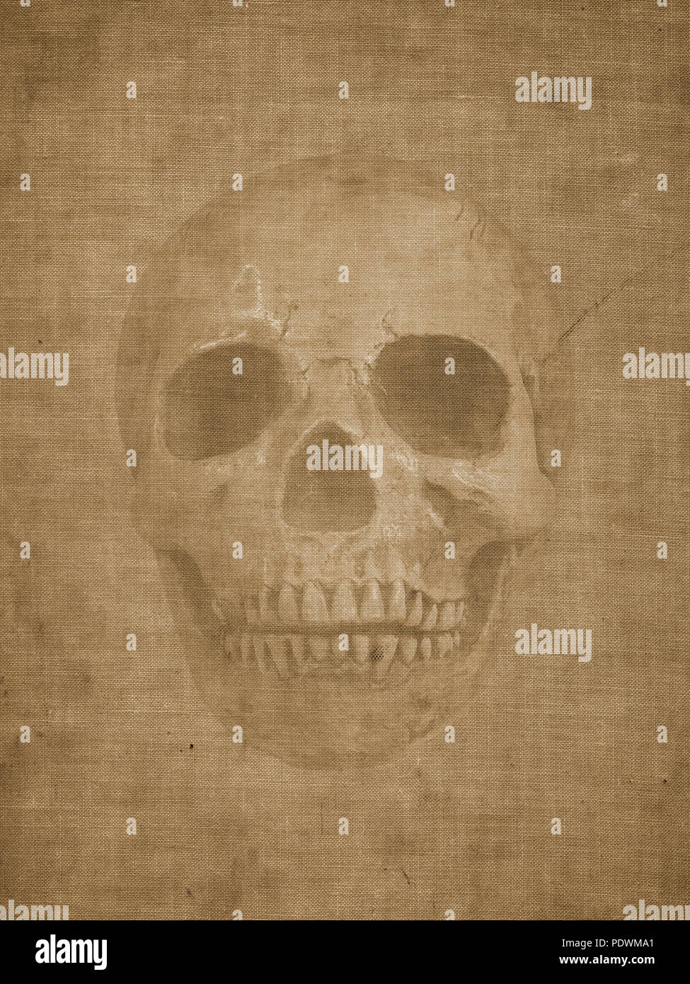 Very old burnt grunge textured paper with human skull Stock Photo