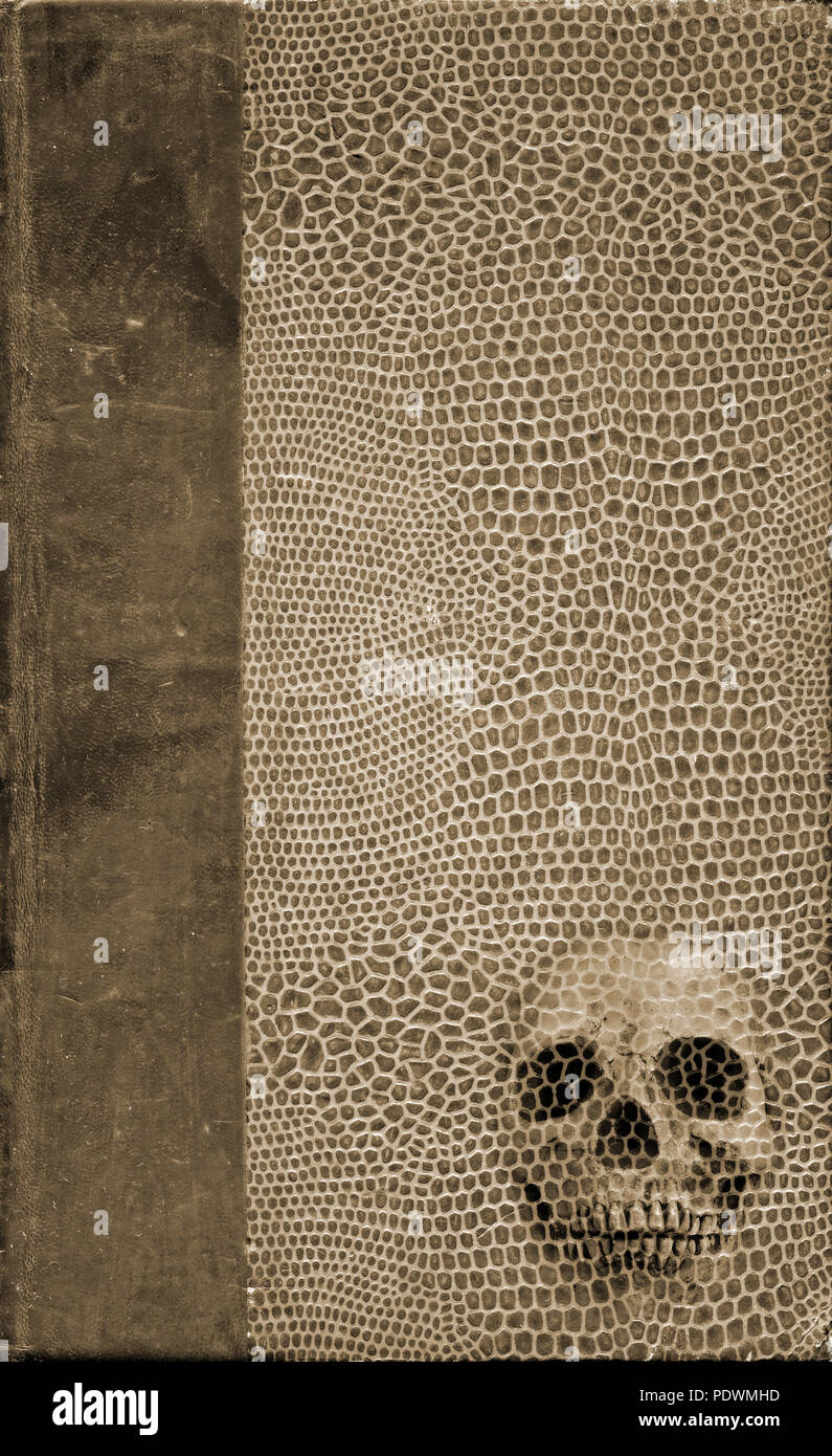 Very old grunge paper and leather book cover with skull. Good for halloween. Stock Photo