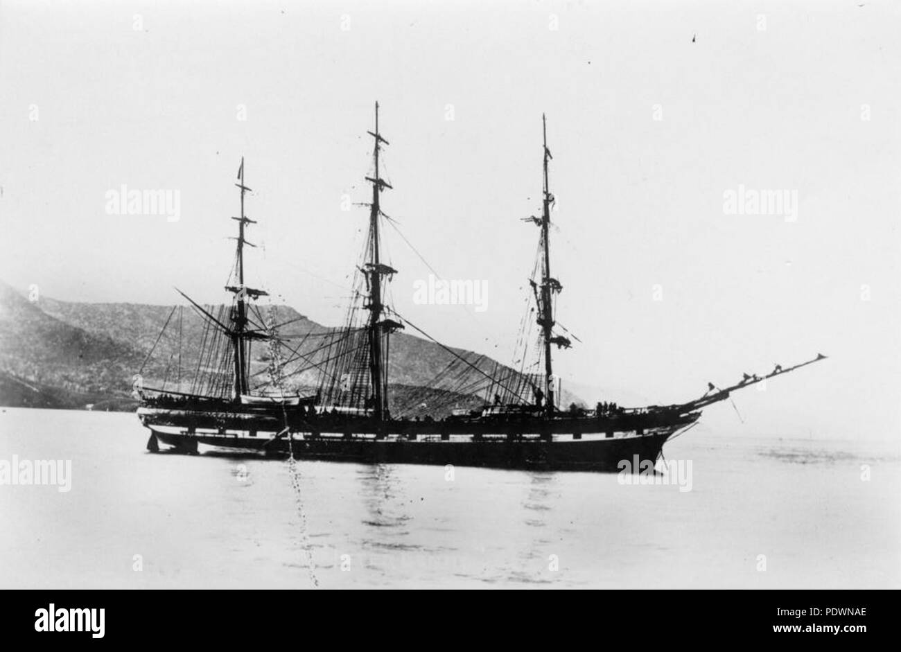 Peter denny hi-res stock photography and images - Alamy