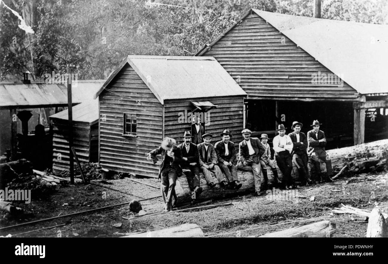 272 StateLibQld 1 74207 Workers pose for a photograph at Canungra Sawmill, 1918 Stock Photo