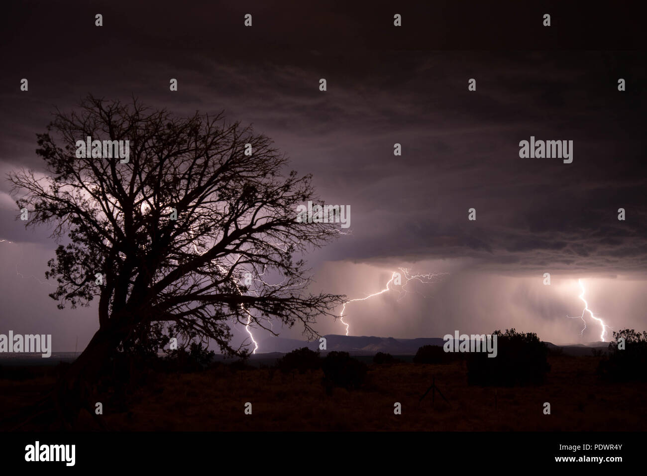 Thunderstorm with lightning, Sandoval co., New Mexico, USA. Stock Photo