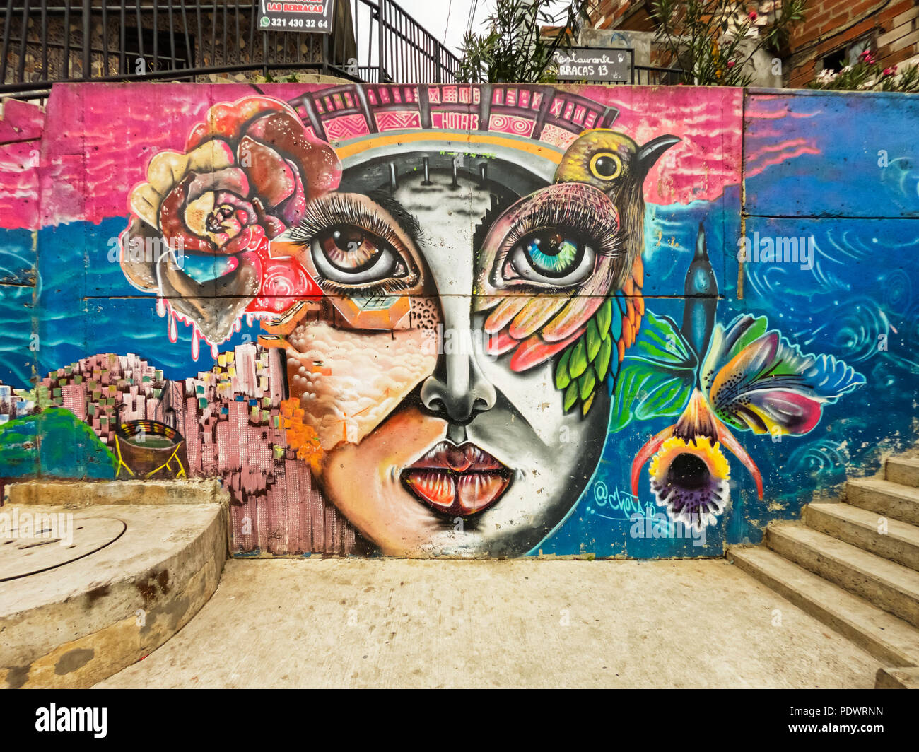 Le street art en Colombie - Terra Colombia