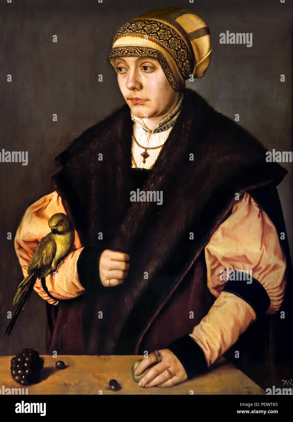Woman with Parrot 1529 Barthel Beham 1502- 1540 German Germany Stock Photo