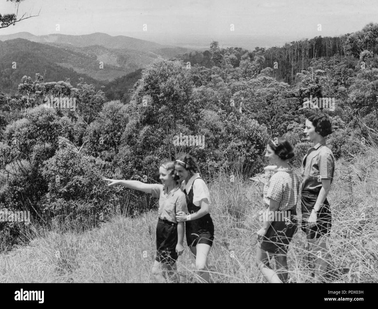 232 StateLibQld 1 150631 View on the top of Mount Tamborine, 1936 Stock
