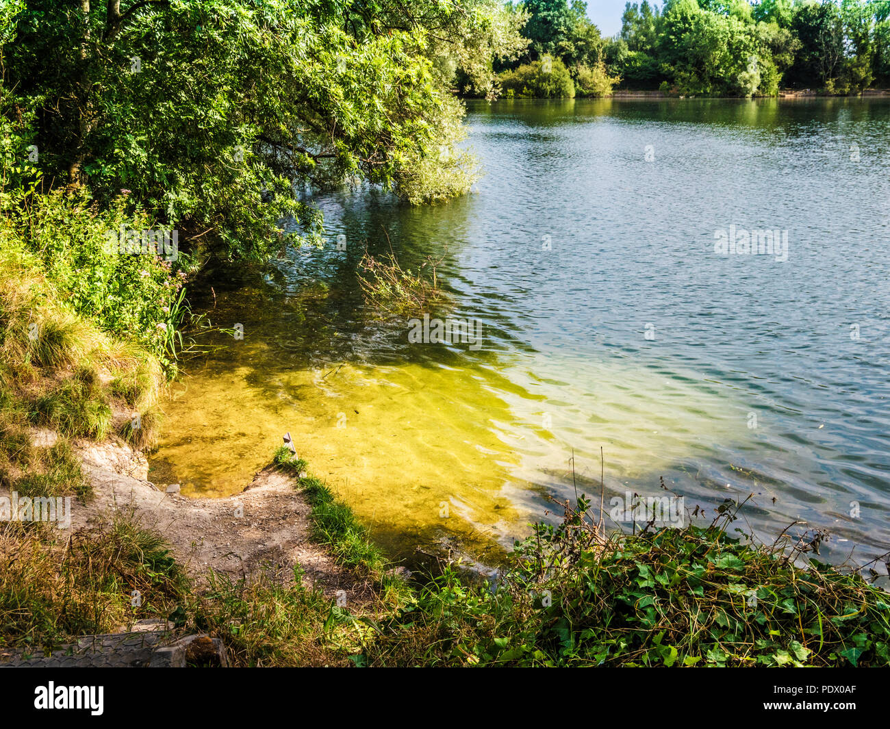 A view of the lake at Neigh Bridge Country Park in Gloucestershire. Stock Photo