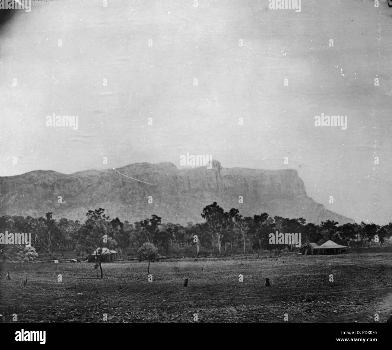 233 StateLibQld 1 153743 Zamia Range, Springsure, ca. 1869 Stock Photo