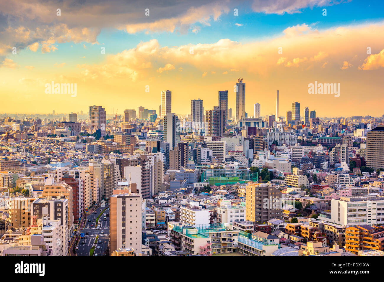 Tokyo, Japan cityscape over Bunkyo Ward towards Shibuya Ward. Stock Photo