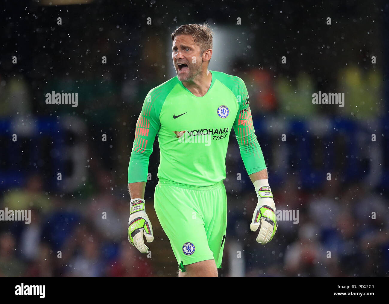 Chelsea goalkeeper Robert Green Stock Photo Alamy