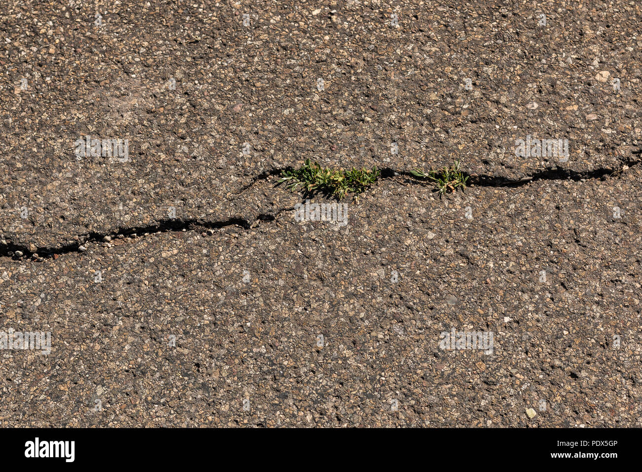 Cracks on the ground of the road Stock Photo