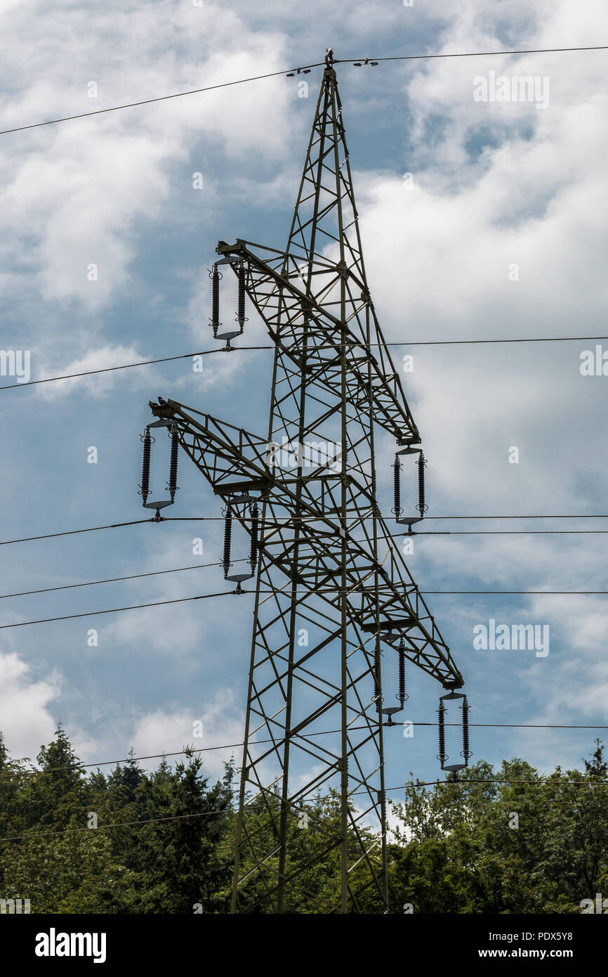 Power pylon on the green field Stock Photo