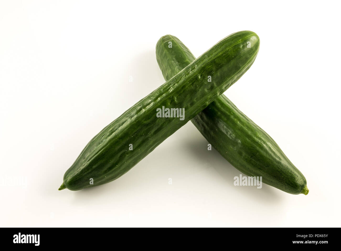 Fresh green cucumber from the garden Stock Photo
