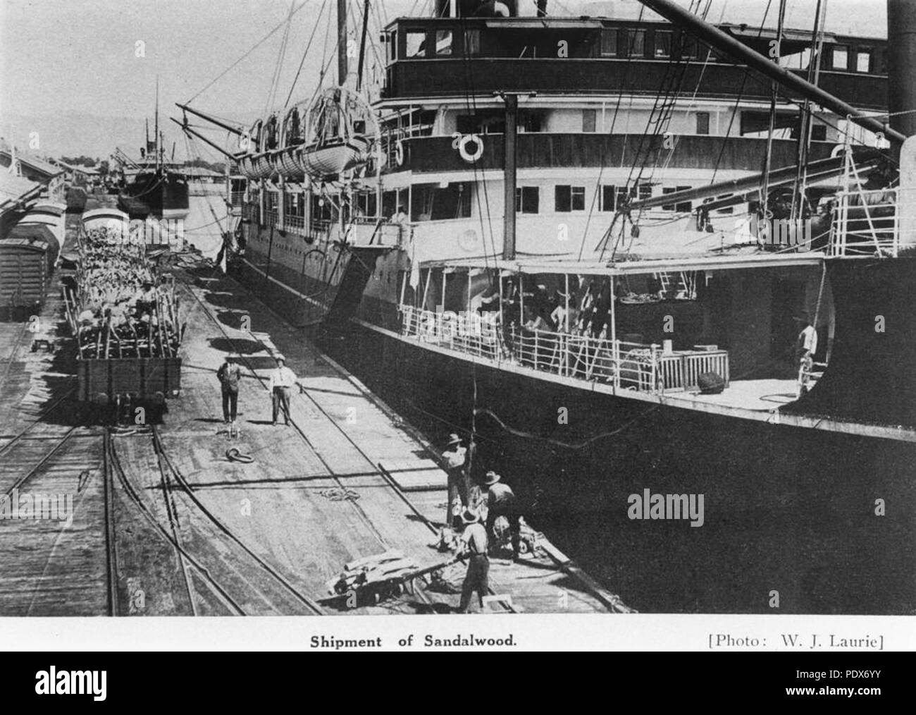 263 StateLibQld 1 297471 Shipment of sandalwood at a wharf in Townsville, 1929 Stock Photo