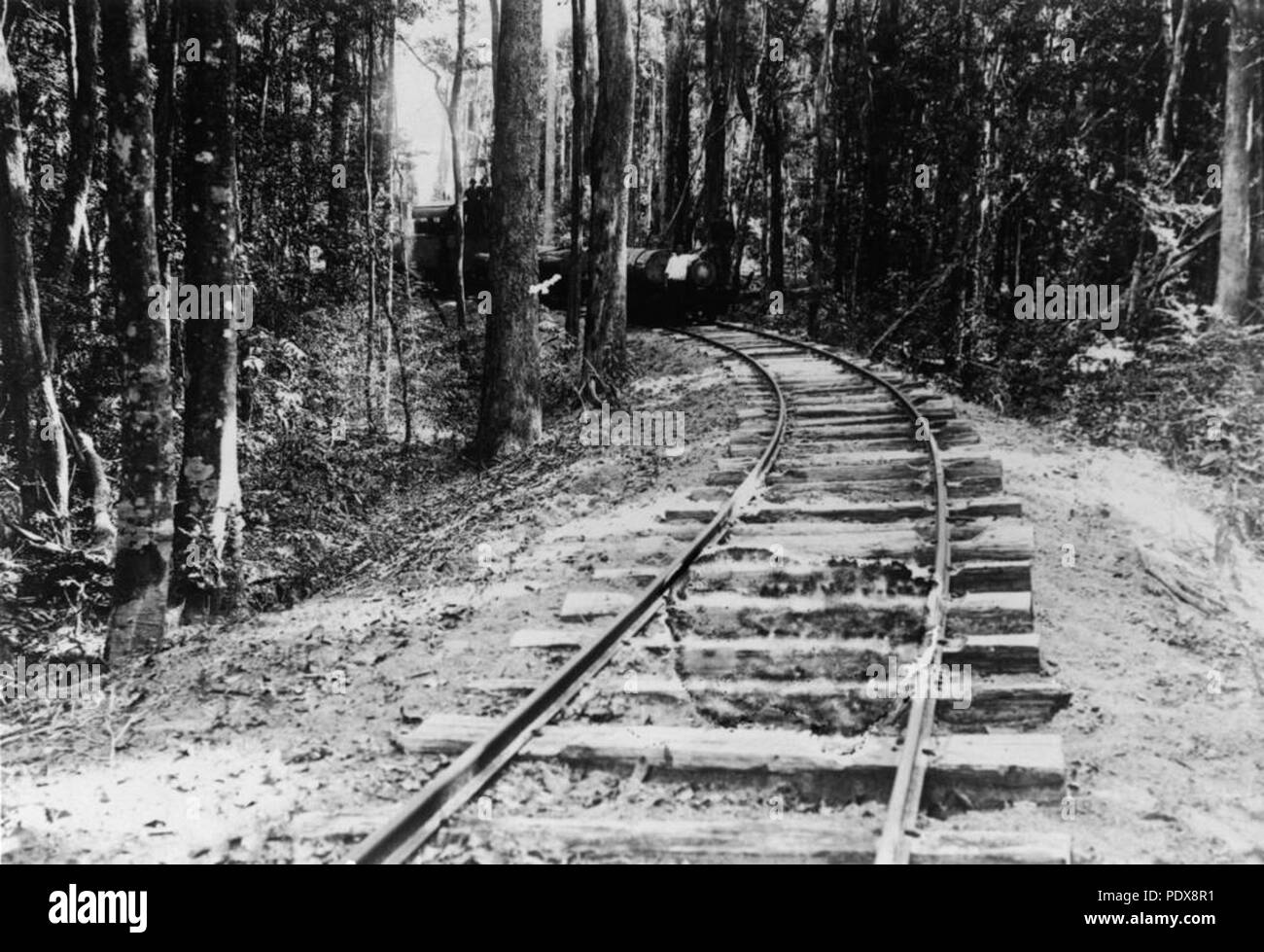 274 StateLibQld 1 81435 Glimpse of the McKanzie's Tramway locomotive on Fraser Island, Queensland, ca. 1920 Stock Photo