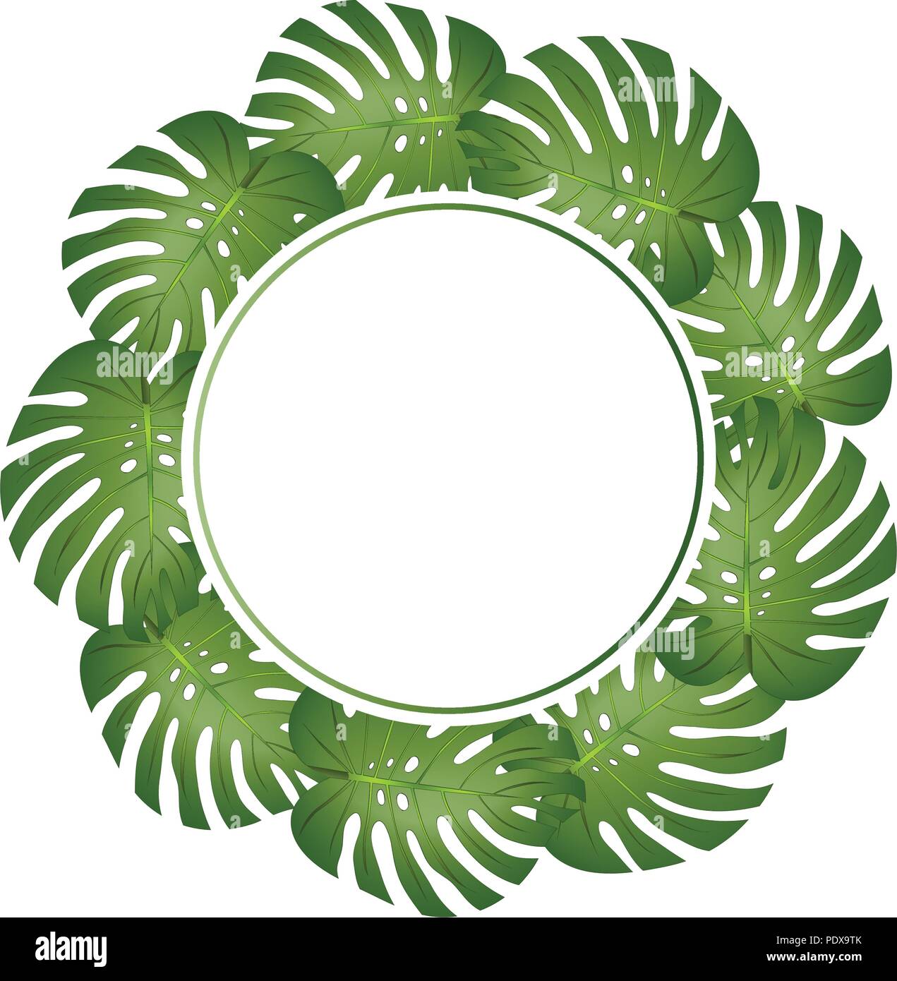 Philodendron Monstera Leaf Banner Wreath. Vector Illustration Stock Vector  Image & Art - Alamy