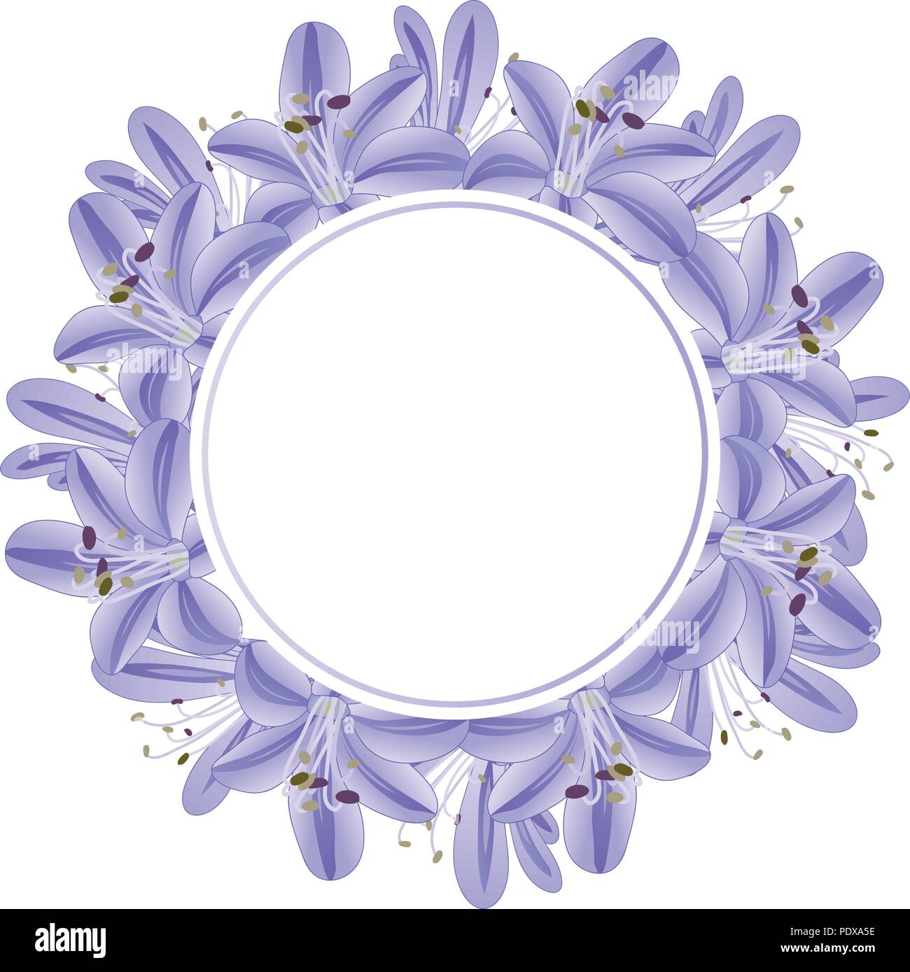 Blue Purple Agapanthus Banner Wreath. Vector Illustration. Stock Vector