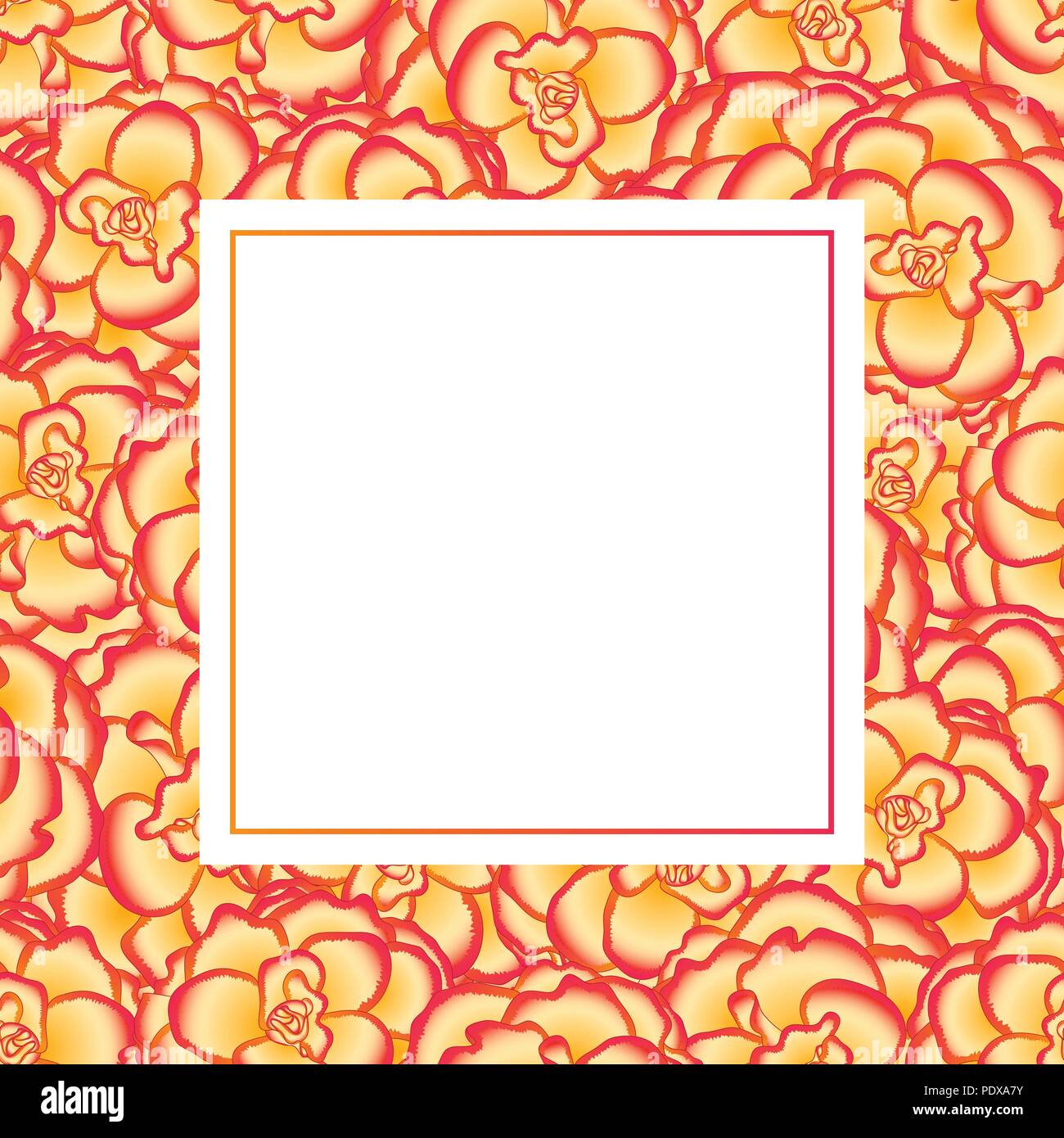 Begonia Flower, Picotee Sunburst Banner Card. Vector Illustration. Stock Vector