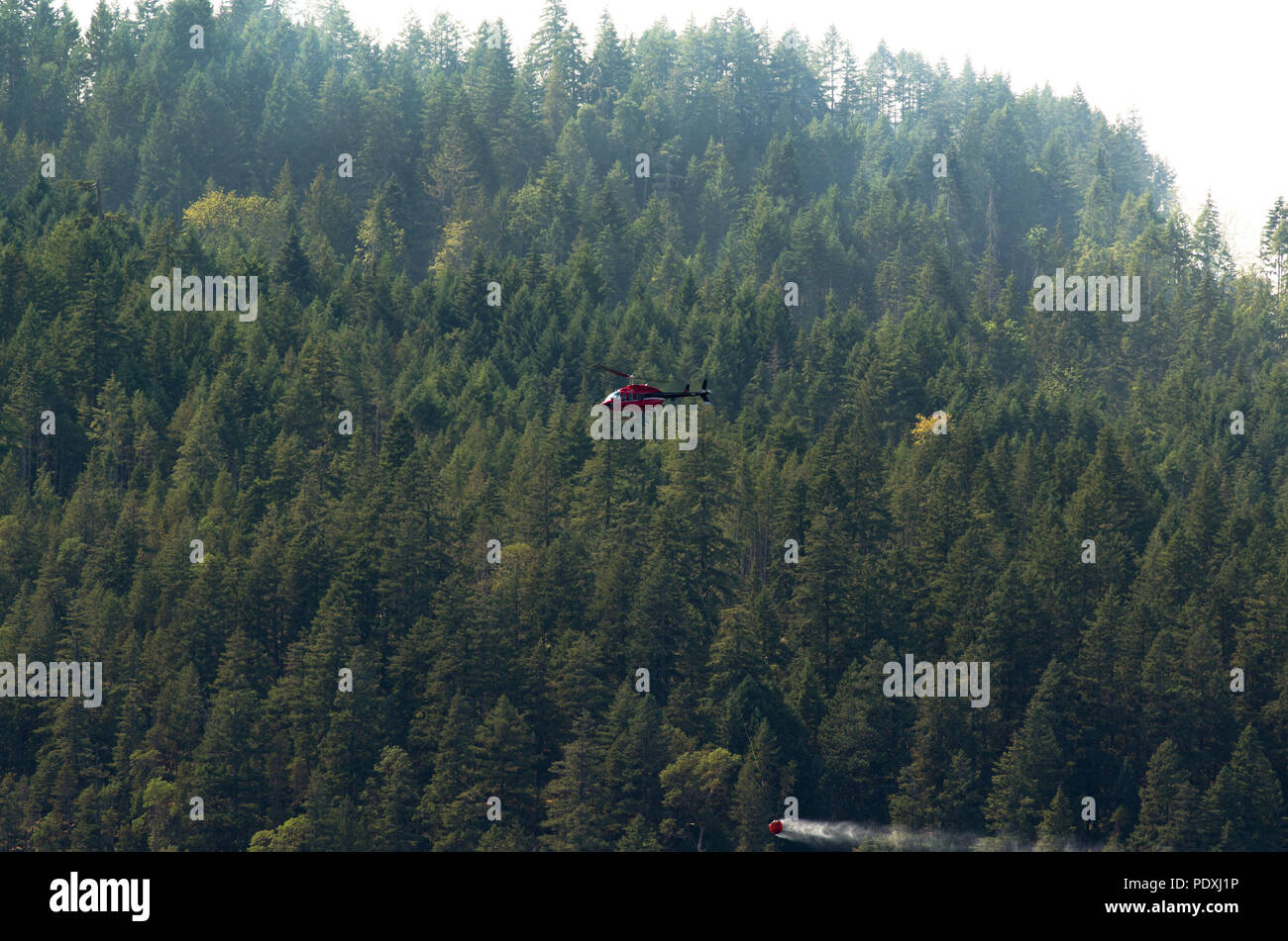 Helicopters Battling Port Alberni Arbutus Ridge Forest Fire Stock Photo