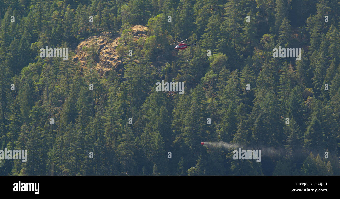 Helicopters Battling Port Alberni Arbutus Ridge Forest Fire Stock Photo