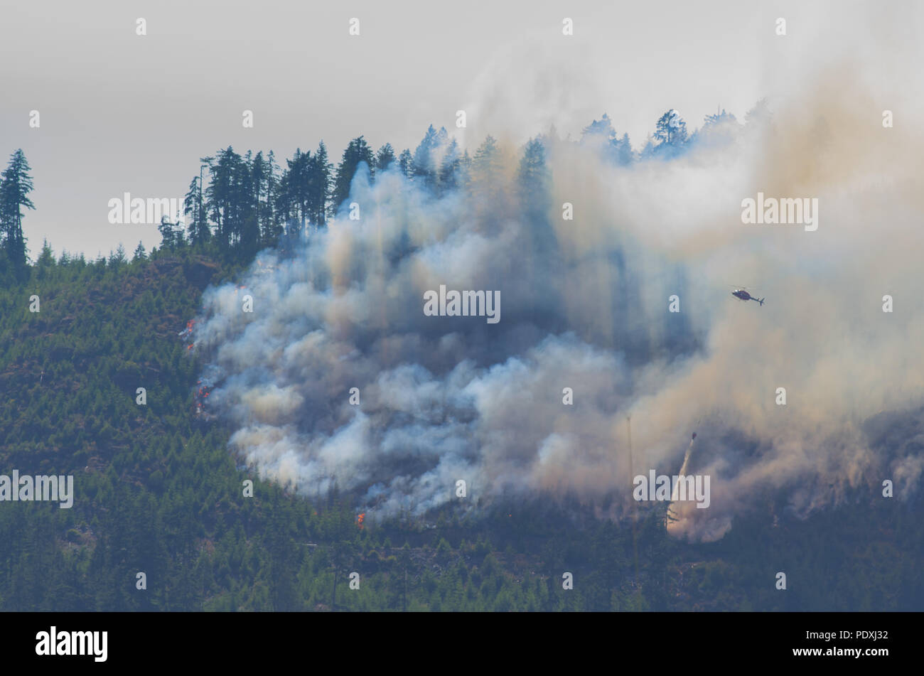 Helicopters Battling Port Alberni Arbutus Ridge Forest Fire Stock Photo