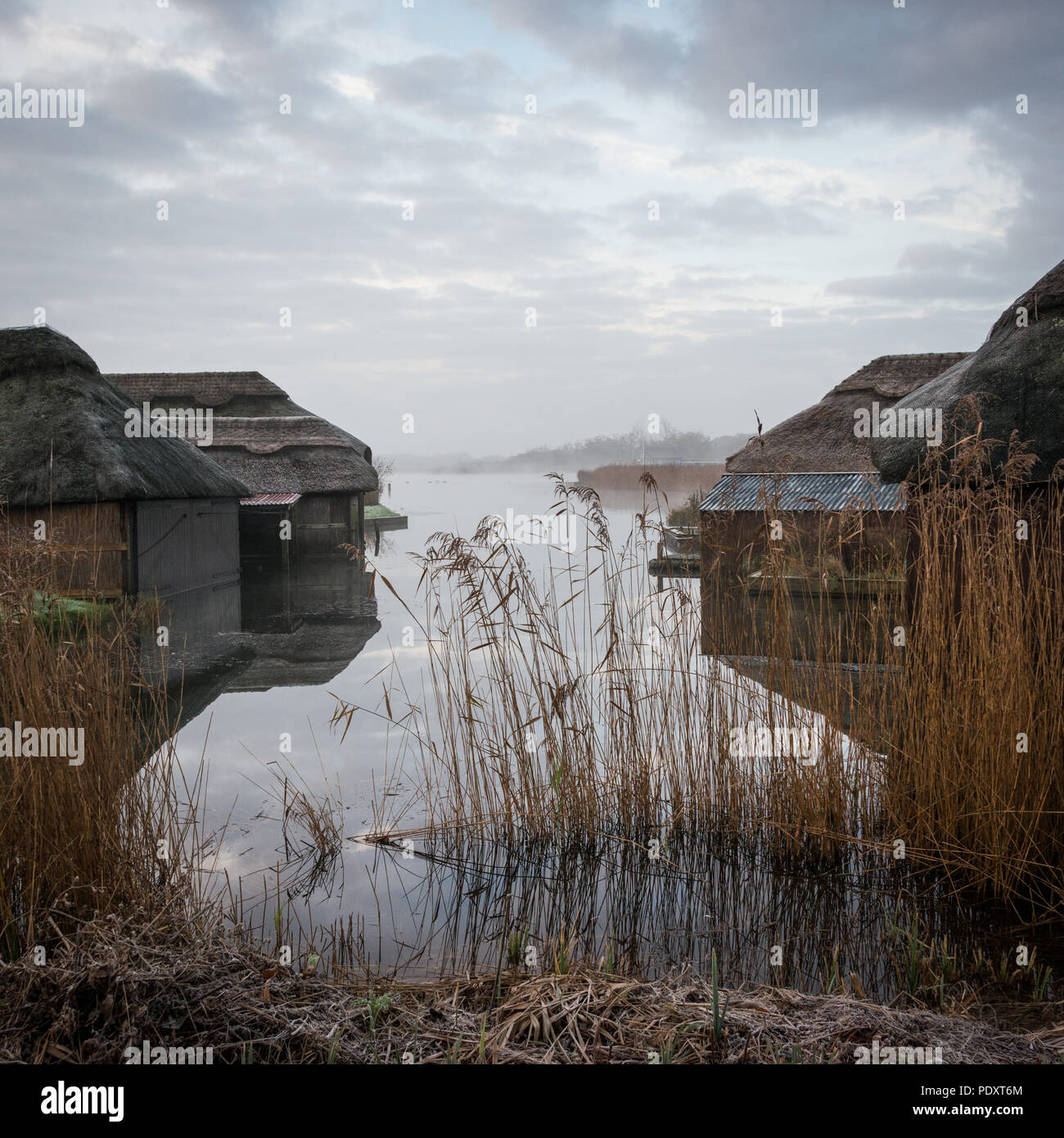 Thatched boat houses on Hickling Broad, Norfolk Stock Photo Alamy
