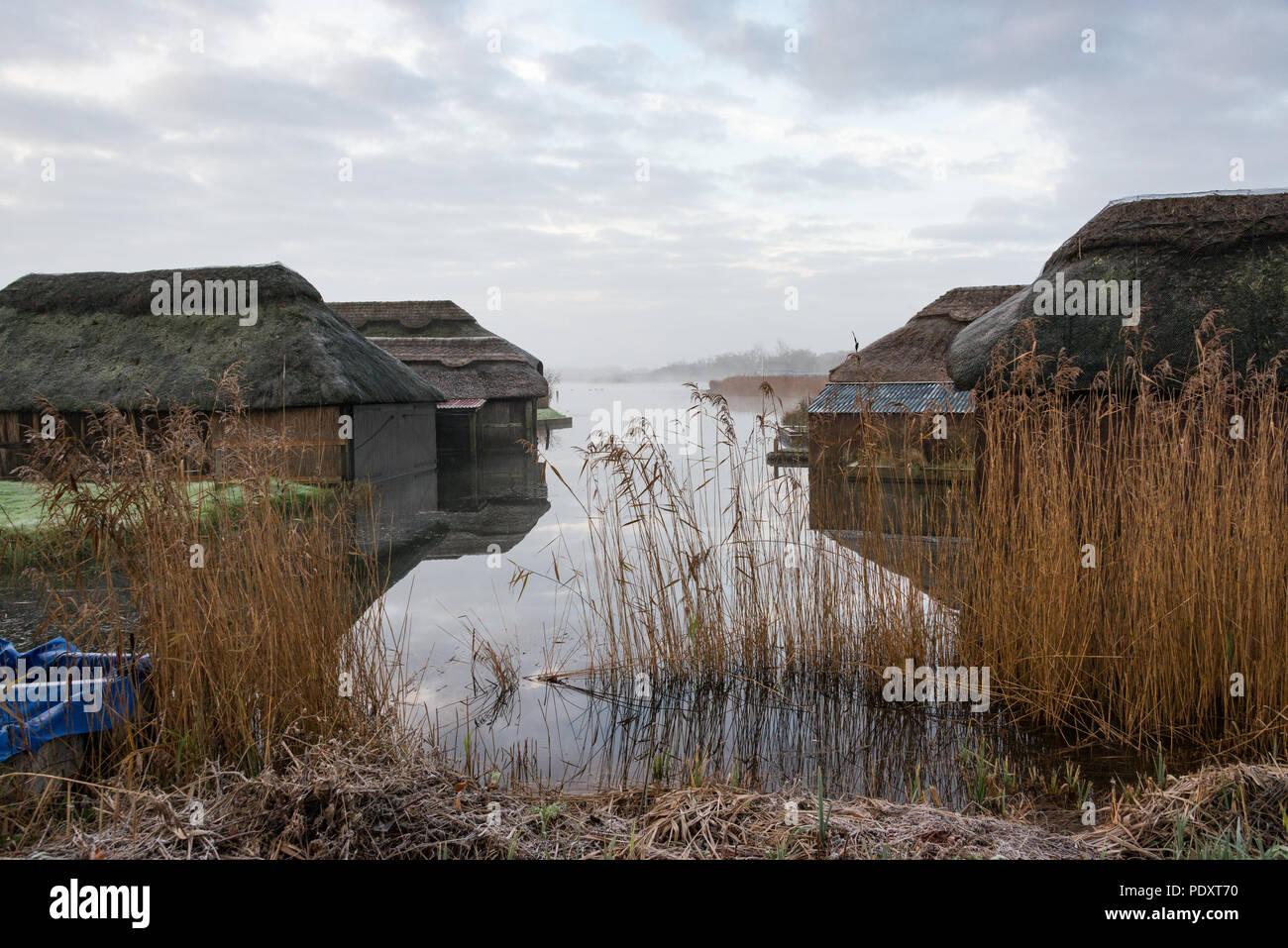 Thatched boat houses on Hickling Broad, Norfolk Stock Photo Alamy