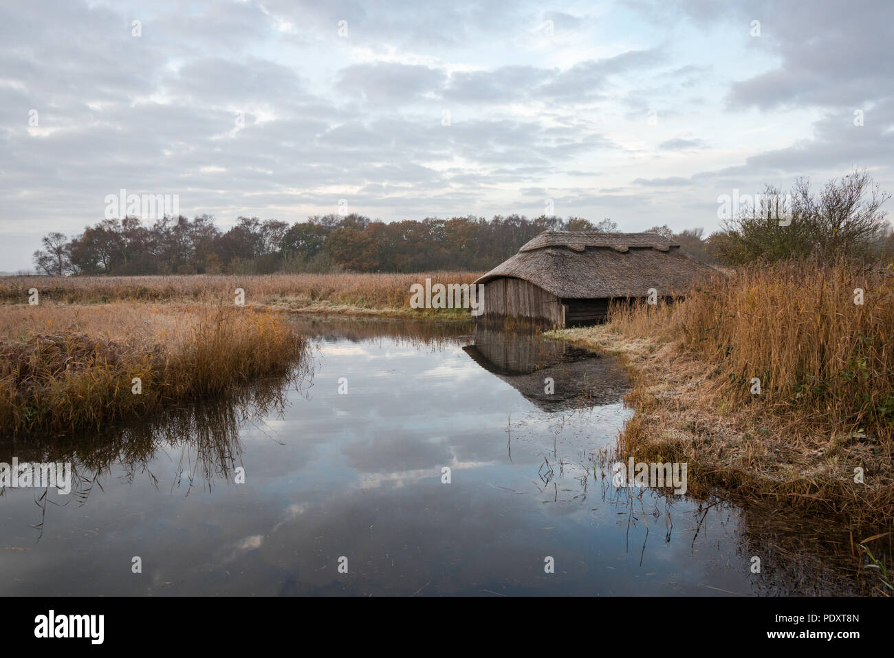 Thatched boat houses on Hickling Broad, Norfolk Stock Photo Alamy