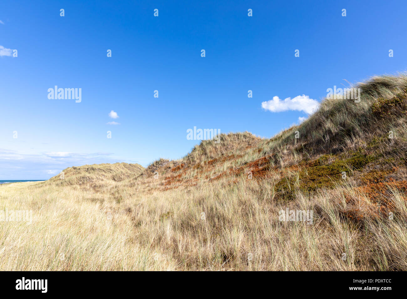 Laeso Island Denmark High Resolution Stock Photography and Images - Alamy