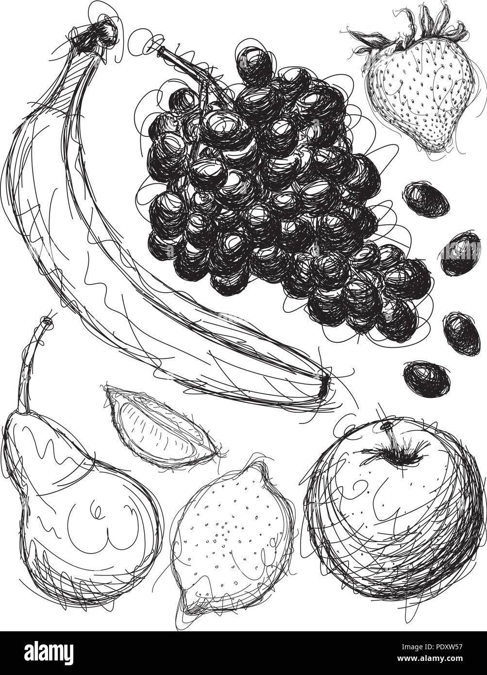 Fruit Medley Sketches Stock Vector