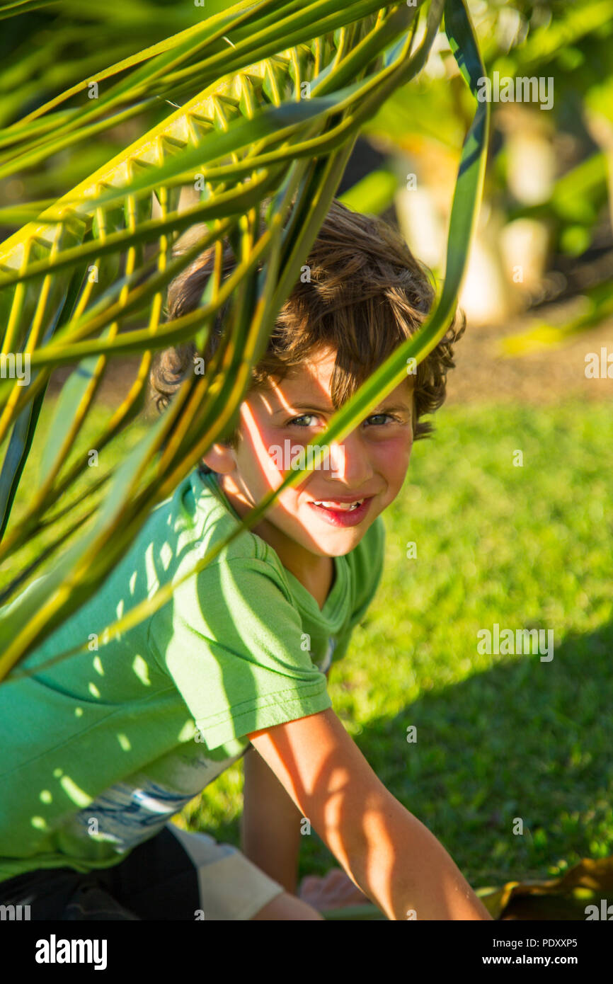 Portrait of Young Boy Behind Palm Frond, Hawaii, USA Stock Photo