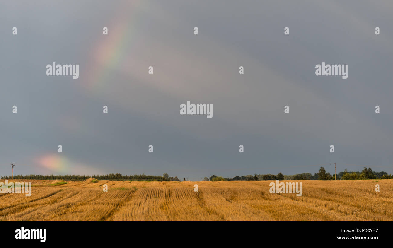 Rainbow over a field on a hot summer stormy day with a dark sky in the ...