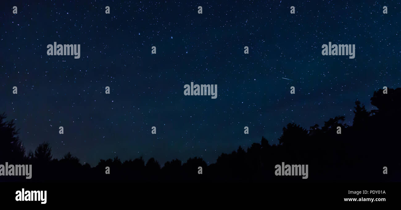 Starry night sky with a shooting star and a treeline in the foreground. Stock Photo