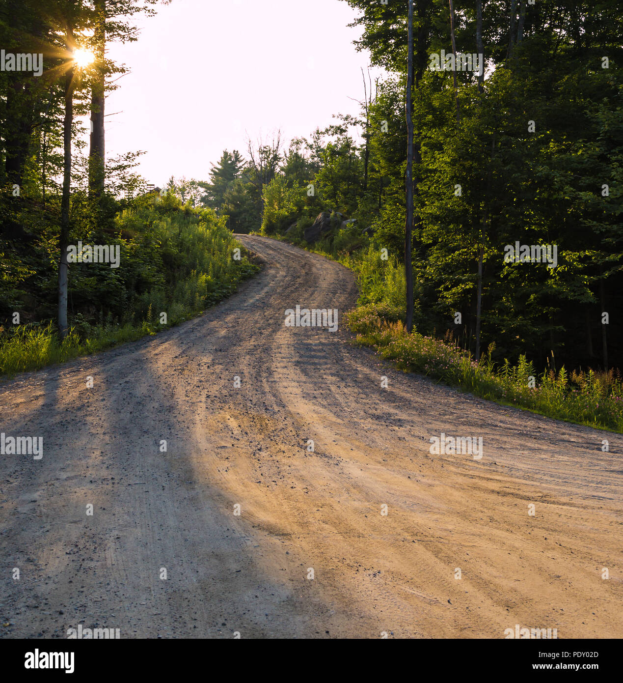 Country dirt road in shadow and sunlight surrounded by trees. Stock Photo