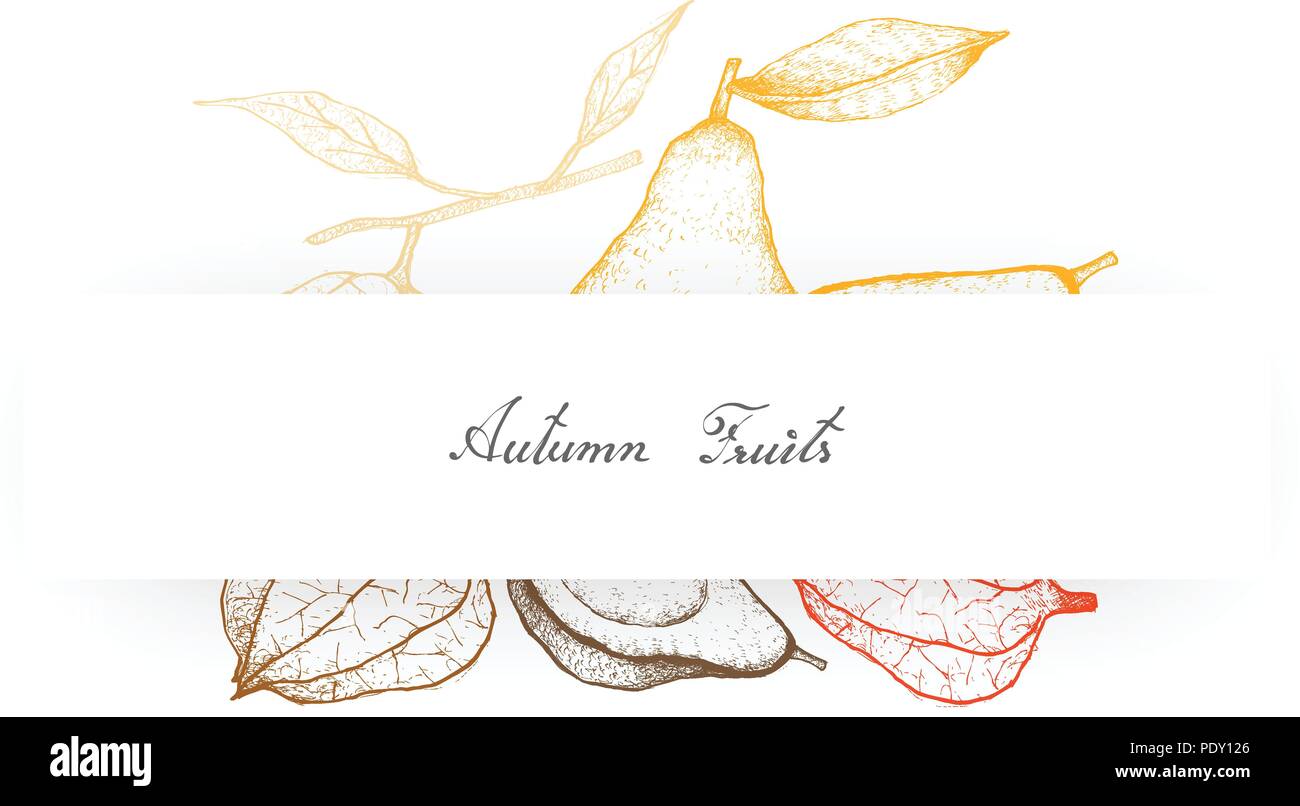 Autumn Vegetables, Illustration of Hand Drawn Sketch of Avocados and Tomatillo, Physalis Philadelphica or Mexican Husk Tomato Fruits. Stock Vector