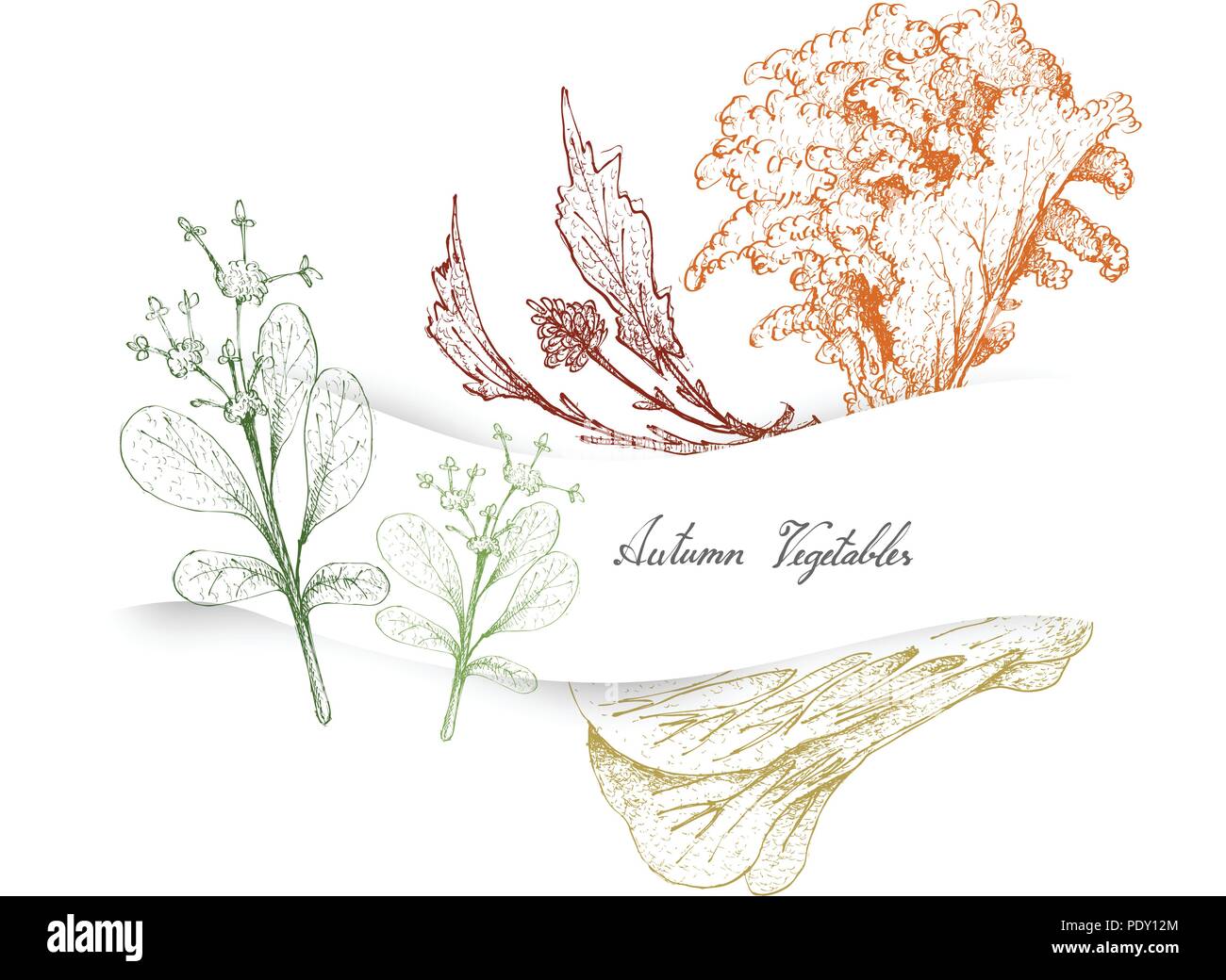 Autumn Vegetables, Illustration of Hand Drawn Sketch Lettuce or Lactuca Sativa, Paracress, Pak Choy and Rapini. Stock Vector