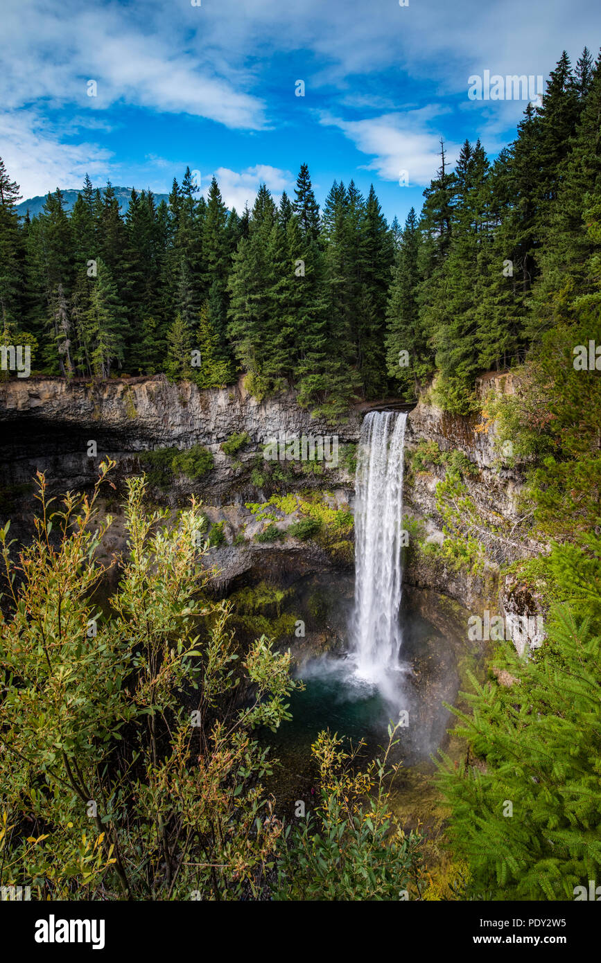 Brandywine Falls Waterfall, surrounded by coniferous forest, Brandywine Falls Provincial Park, British Columbia, Canada Stock Photo