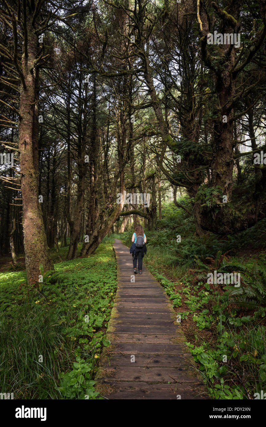 Tourist on her way through rainforest, Pacific Rim National Park, Vancouver Island, British Columbia, Canada Stock Photo