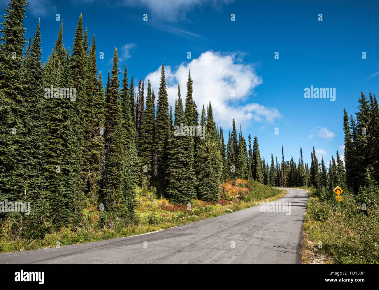 Road Meadows in the Sky Parkway through coniferous forest, autumn, Mount Revelstoke National Park, British Columbia, Canada Stock Photo