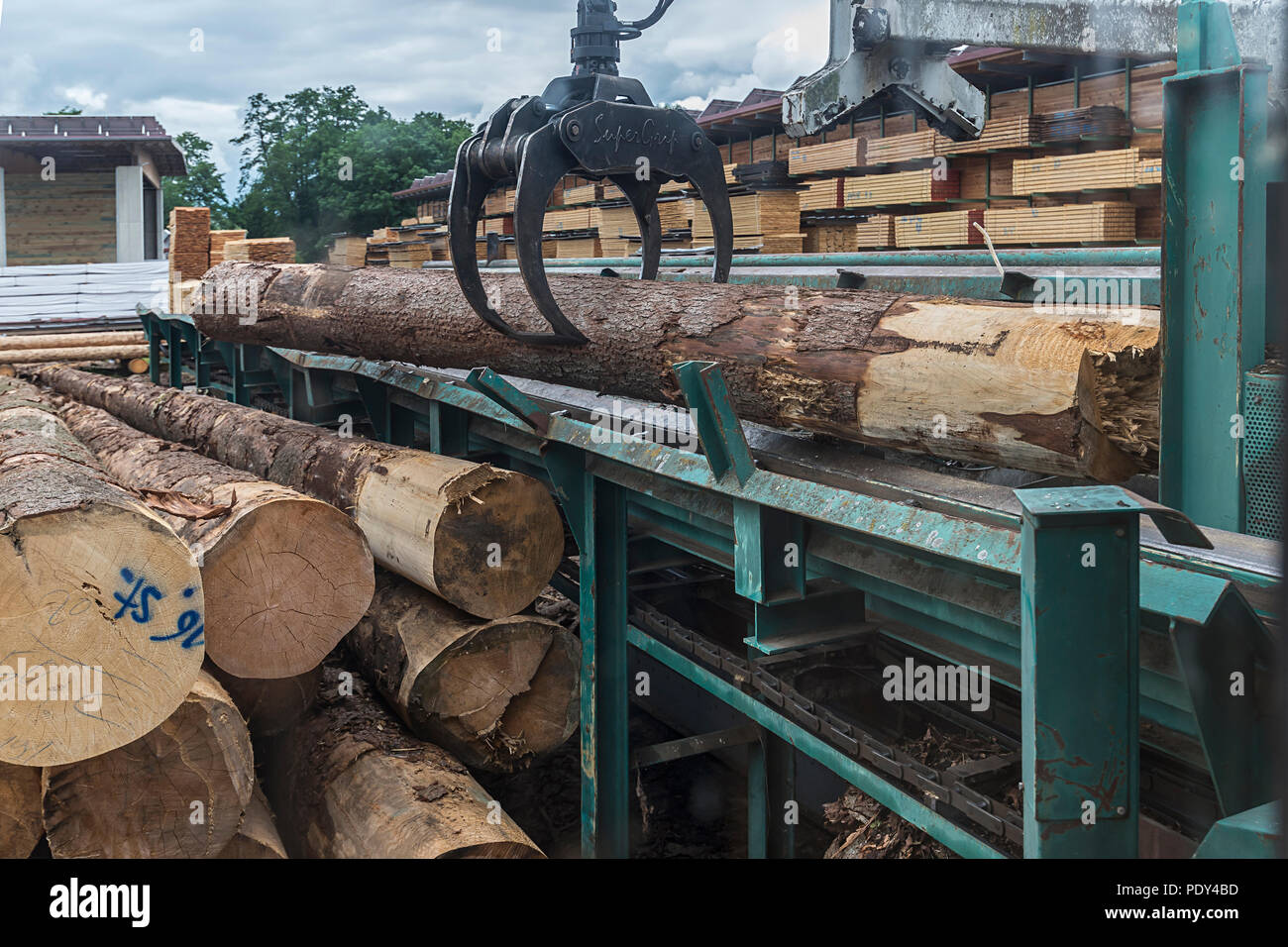 Indentation for debarking a tree trunk, Sägerwerk, Bavaria, Germany Stock Photo
