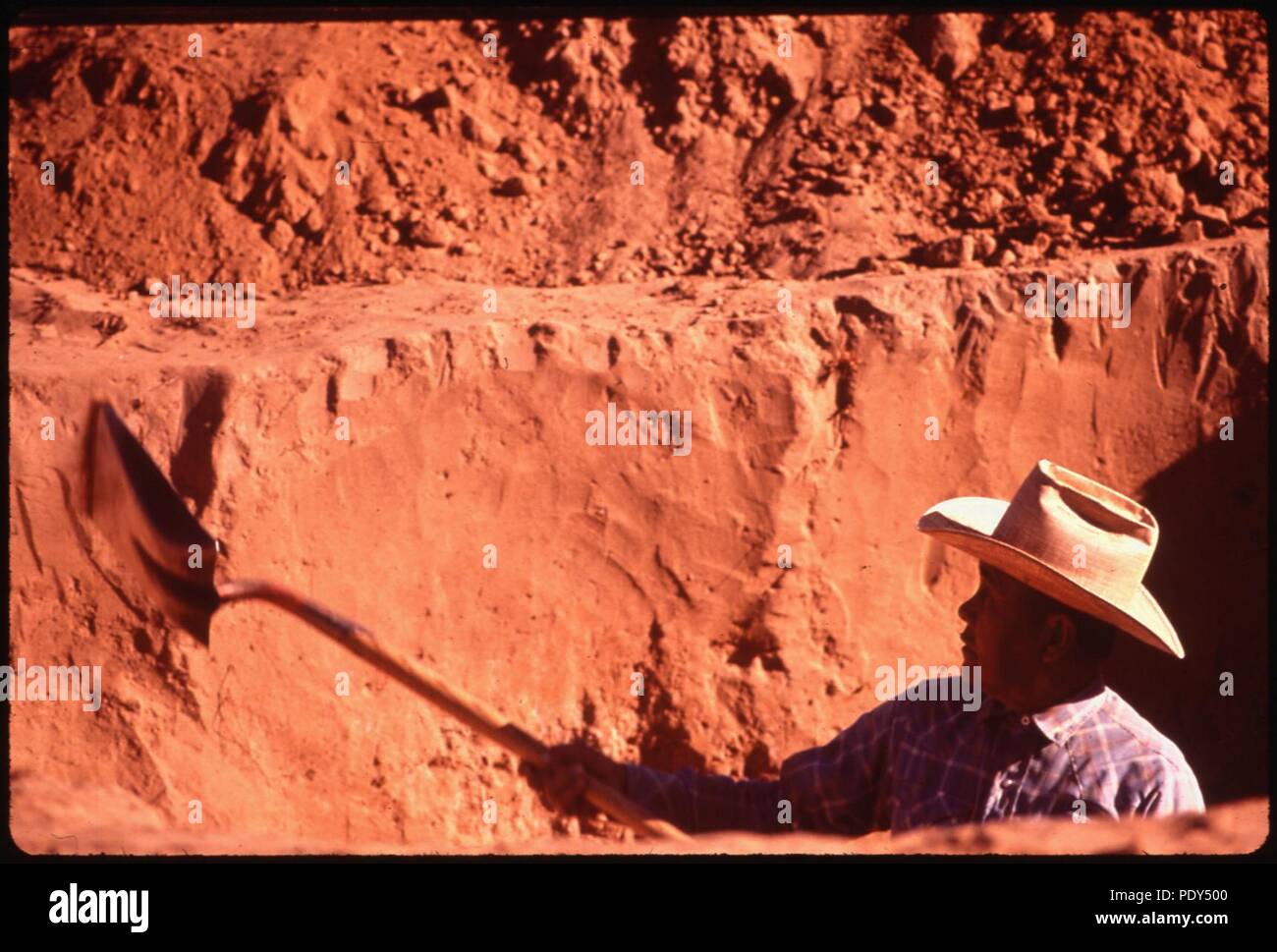 Archaeological Dig - a Project of the Stock Photo