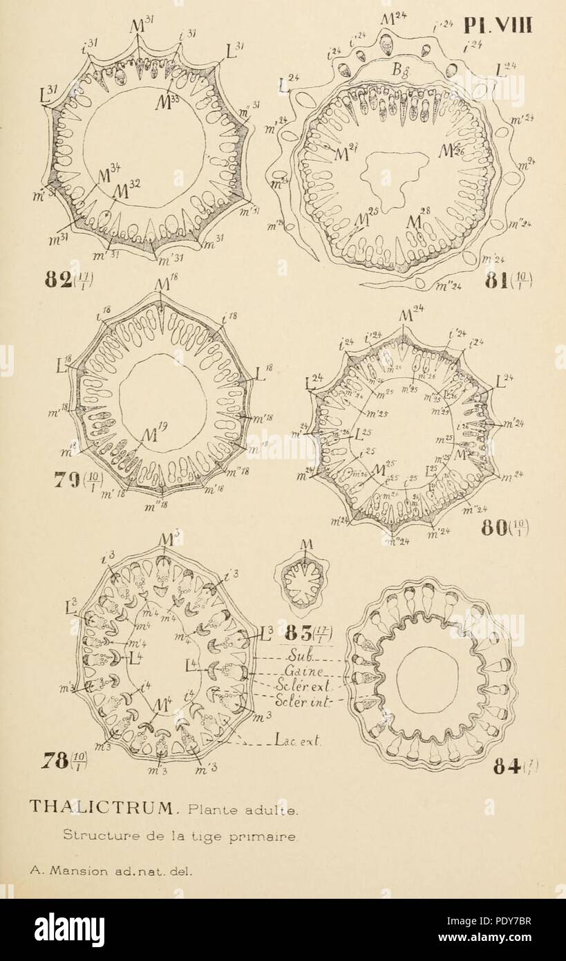 Archives de l'Institut botanique de l'Université de Liège Stock Photo