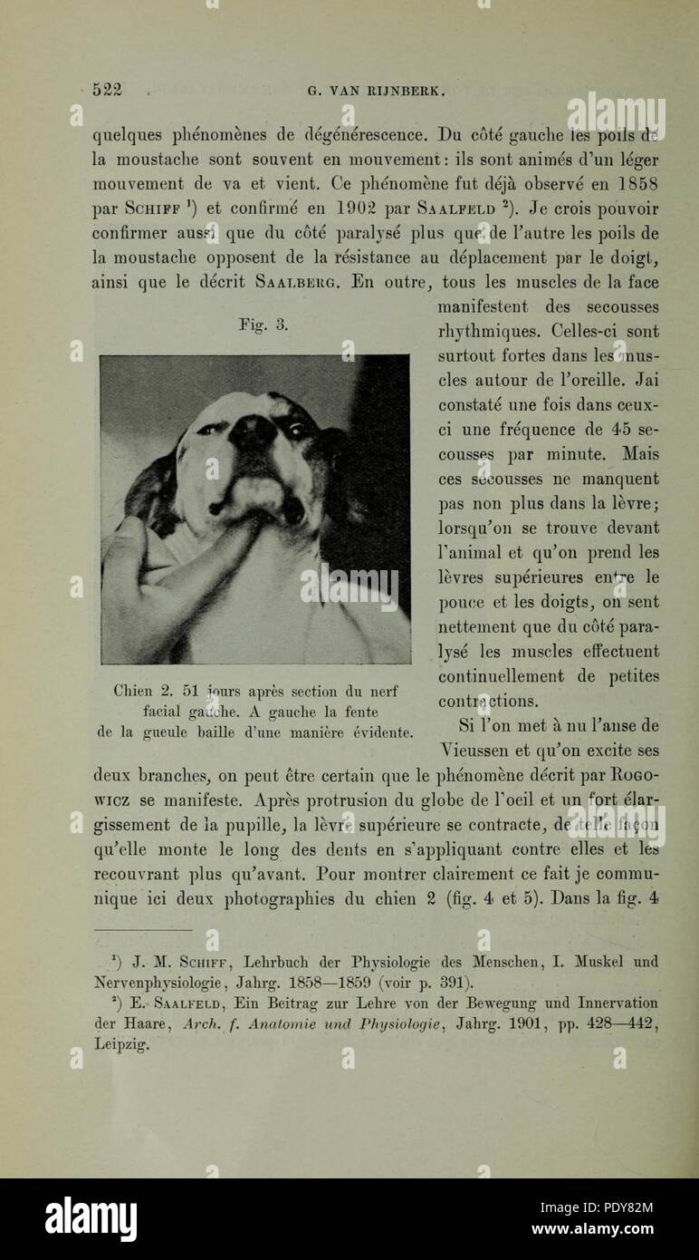 Archives néerlandaises des sciences exactes et naturelles (Page 522