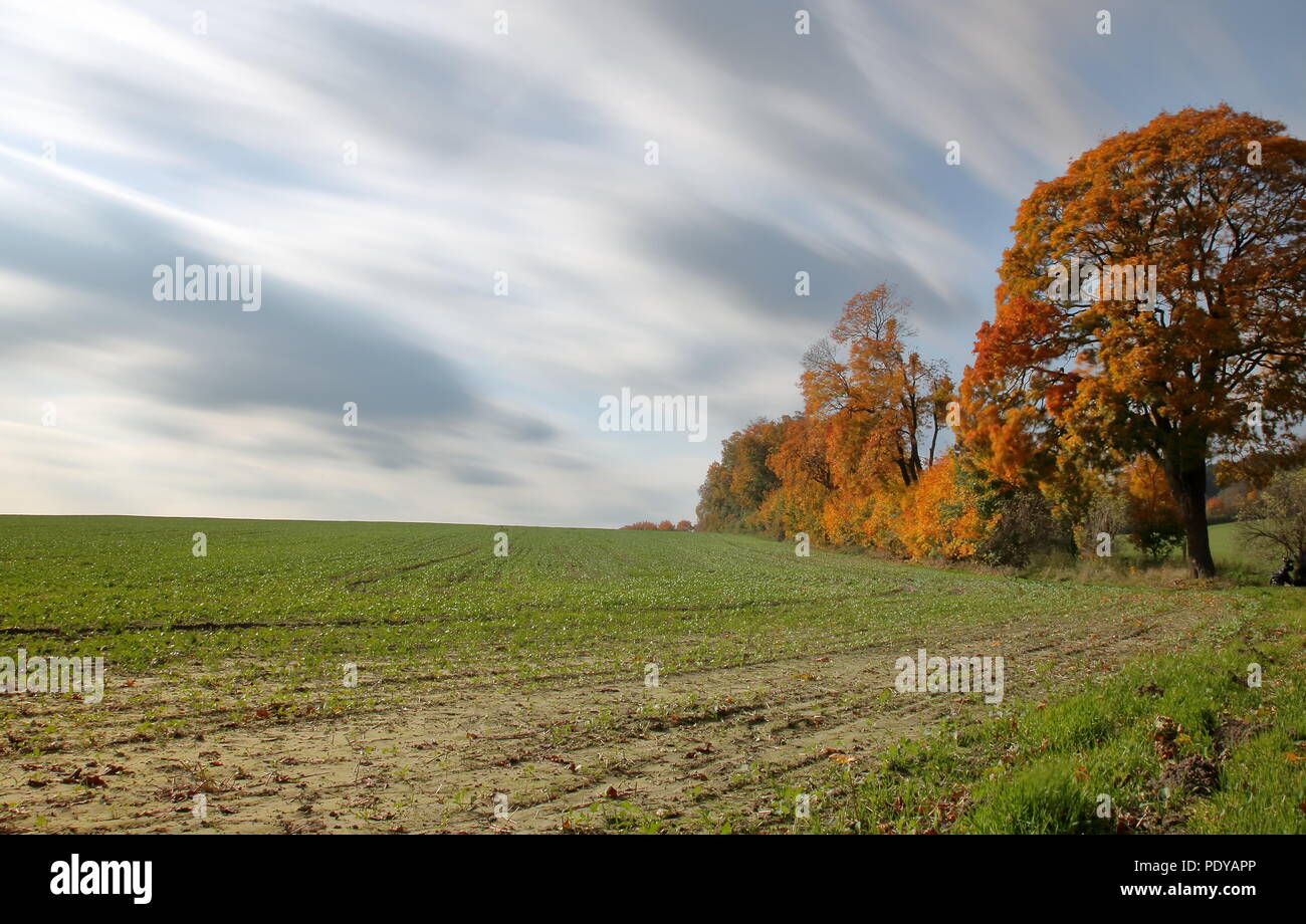 Autumn landscape, fall landscape, field, trees and bushes with colorful leaves, dramatic clouds in motion, long exposure time Stock Photo