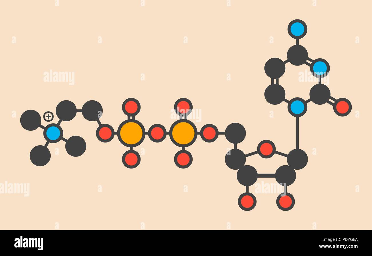 Citicoline (CDPcholine) molecule. Stylized skeletal formula (chemical