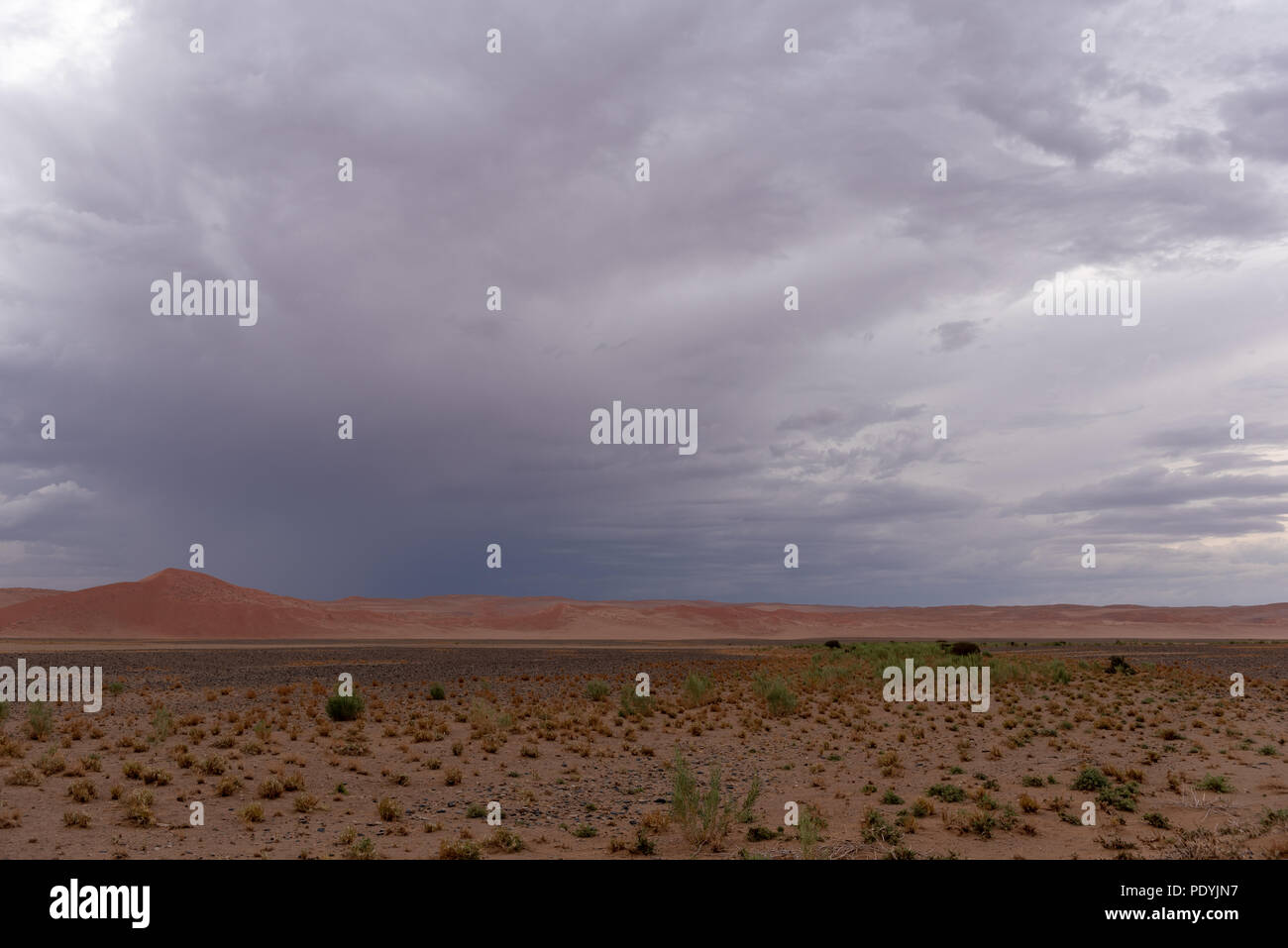 Dark thunderstom clouds over arid desert vegetation, Namibia Stock Photo