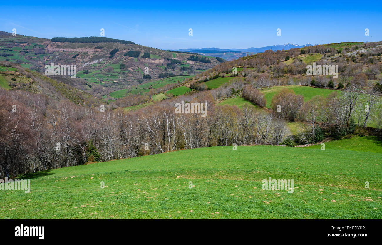 Green fields around O'Cebreiro in Saint James's Way, Galicia, Spain Stock Photo