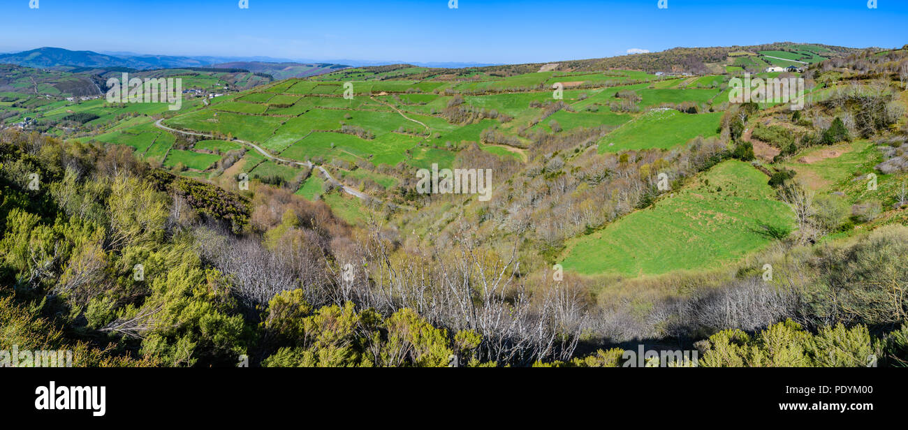 Green meadows in Saint James's Way, Galicia, Spain Stock Photo