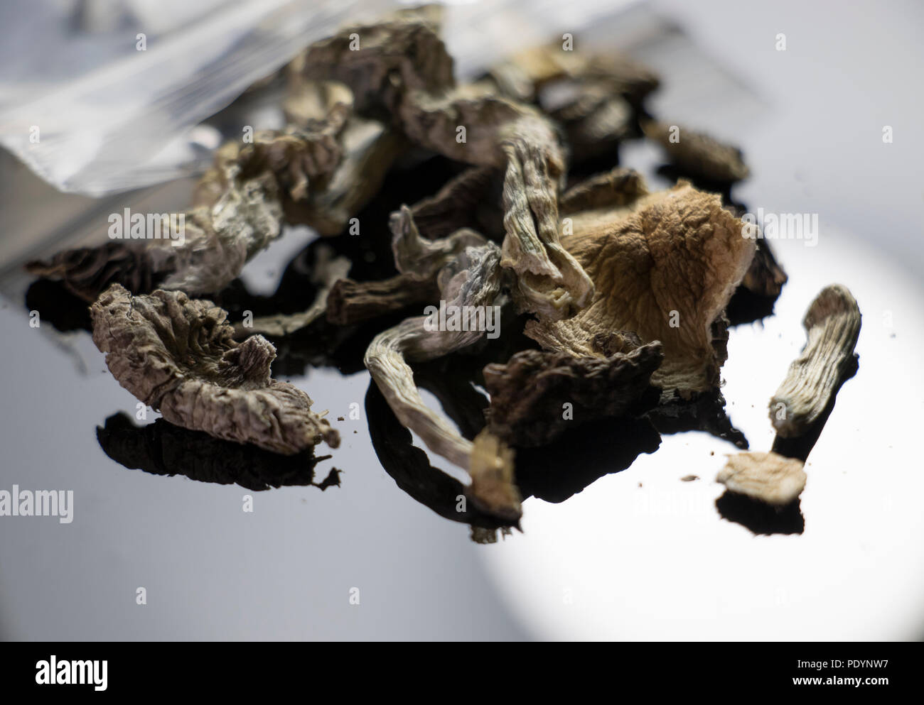 Medicinal Magic Mushrooms used with Psychoanalysis to treat mental